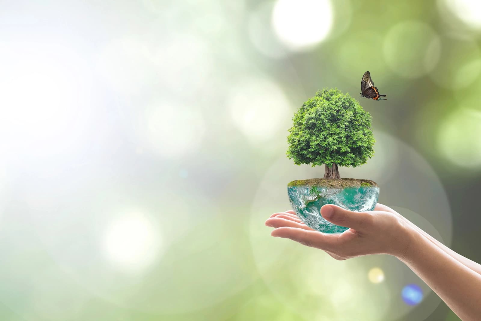 Environmental background image